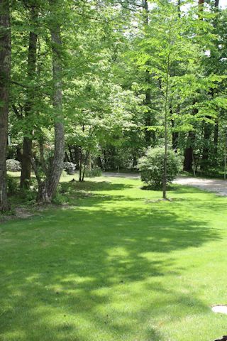 c0090198_19561694.jpg