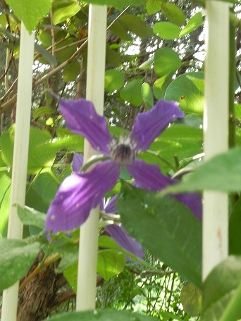 c0152002_08383862.jpg