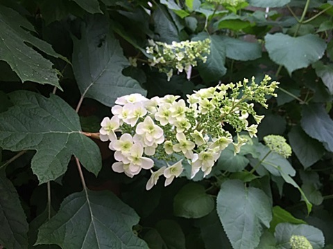 d0046702_15101744.jpg