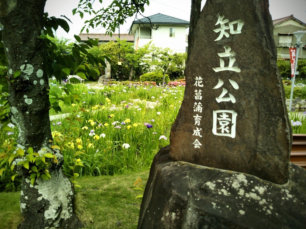 e0405503_11184558.jpg