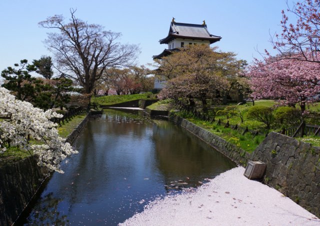 道南の桜名所めぐり(函館市、森町、松前町）_a0345007_18011091.jpg