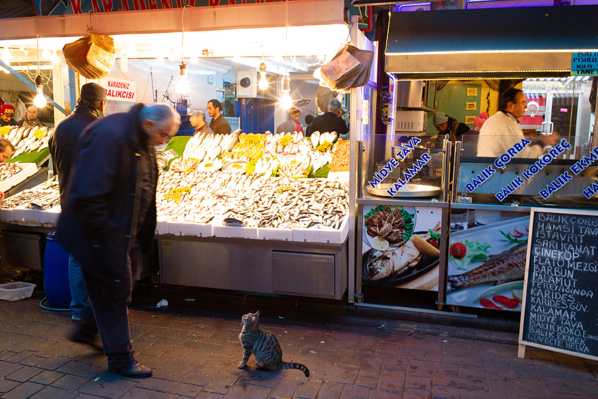 ライカの遺したイスタンブール　Istanbul #LEICAM9_c0065410_22485332.jpg