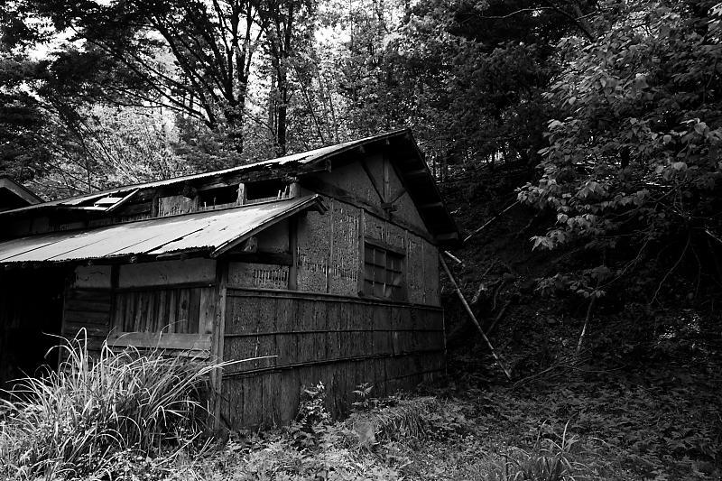 f0032011_21165158.jpg