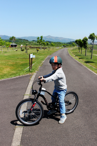 子供自転車　エレクトラスプロケット２０インチ。_a0139912_12235820.jpg