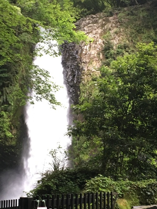 近くで遠くで気分転換 NO638_c0102513_21044700.jpeg
