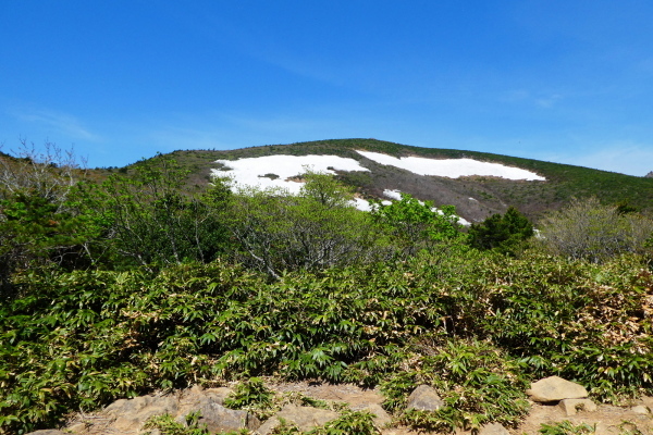 d0170615_20191472.jpg