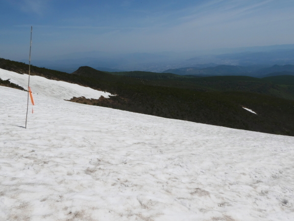 d0170615_20194278.jpg