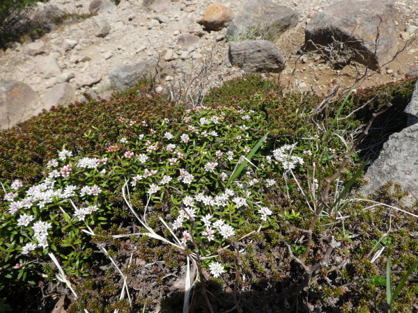 d0170615_20195569.jpg
