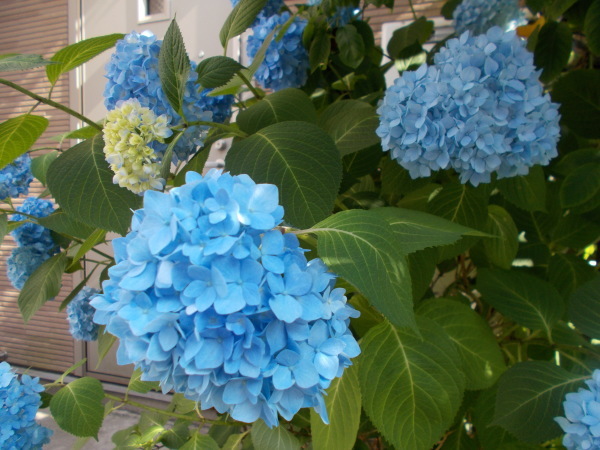 a0116217_02481331.jpg