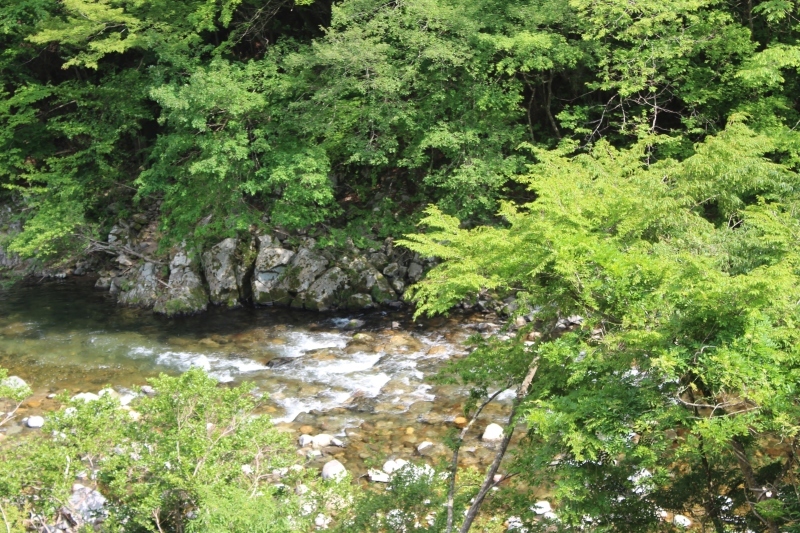 豊根村!!!!!!!!!!!!!!_b0220318_07593234.jpg