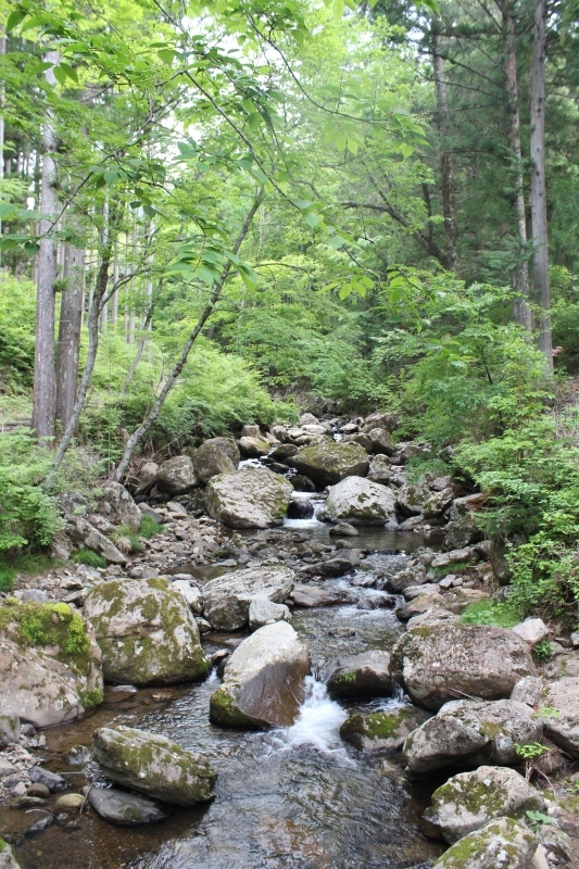 豊根村!!!!!!!!!!!!!!_b0220318_07594410.jpg