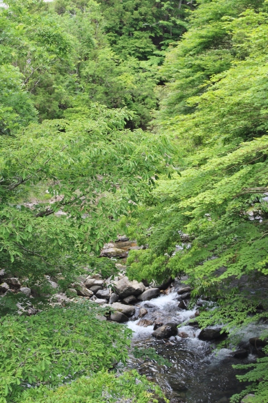 豊根村!!!!!!!!!!!!!!_b0220318_07595233.jpg