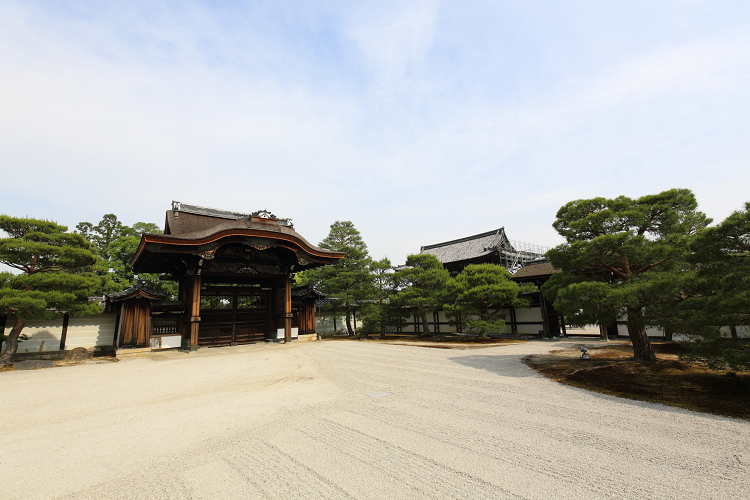 深緑の京都2019 －御室仁和寺（御殿内 北庭・南庭 特別拝観）－ _b0169330_23521399.jpg