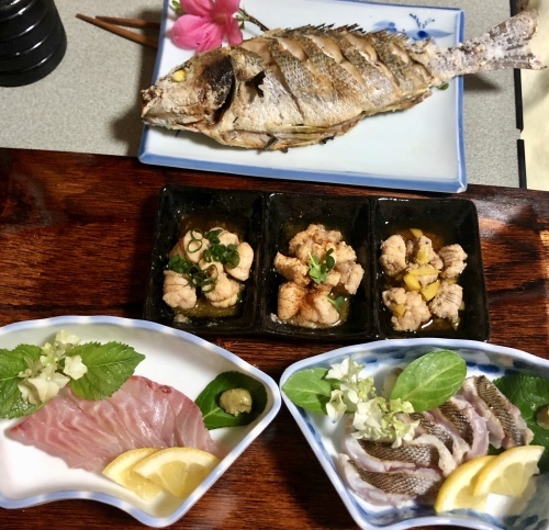 なんと今年、初投稿!_a0132631_10423614.jpeg