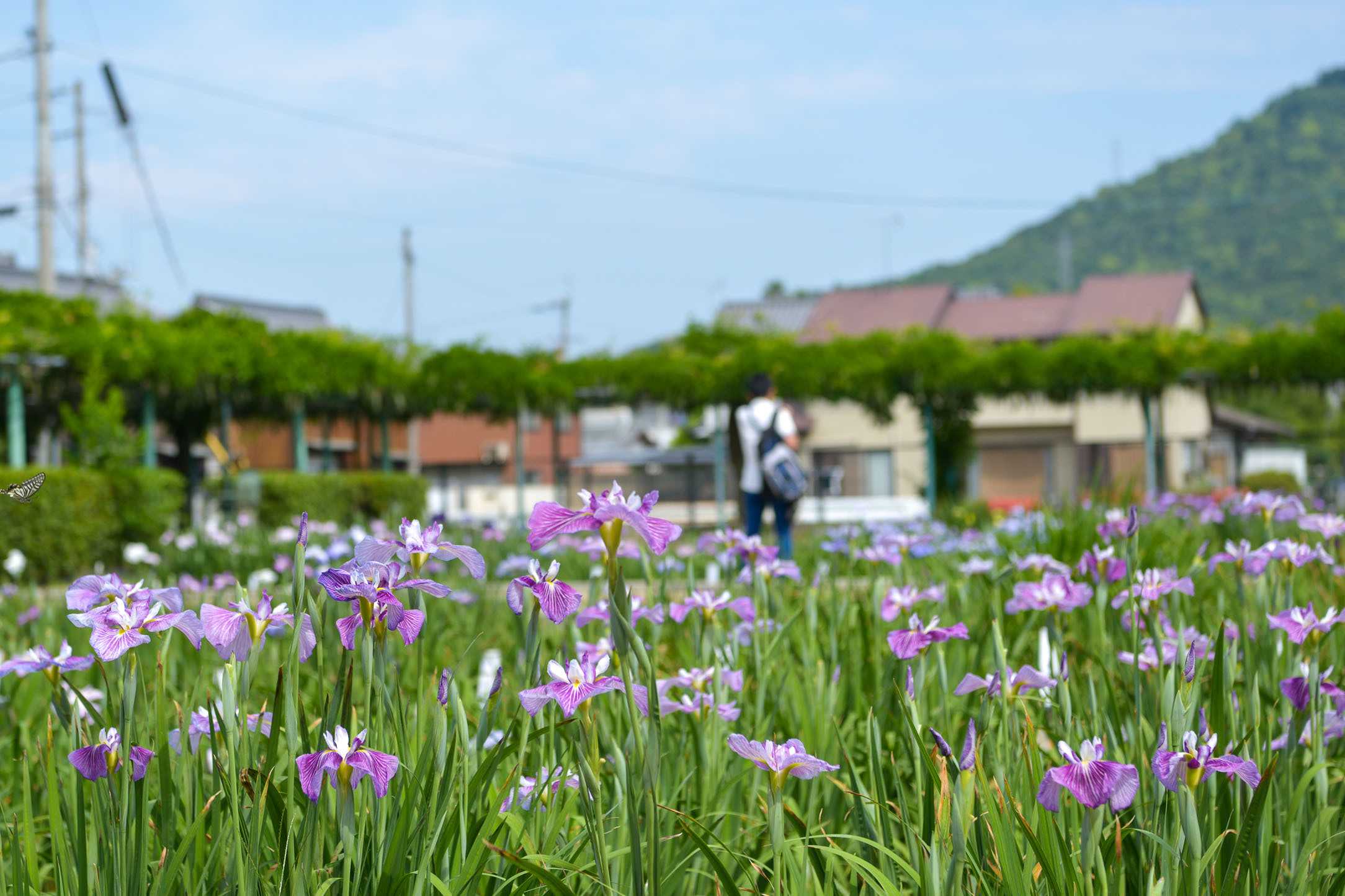 d0246136_17144981.jpg