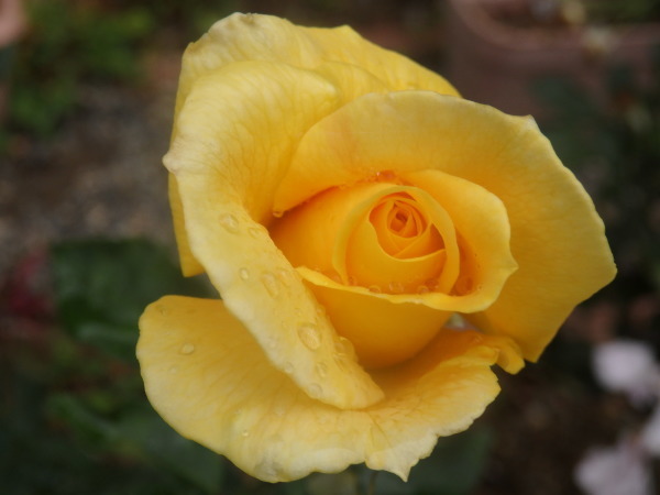 a0054240_21082719.jpg