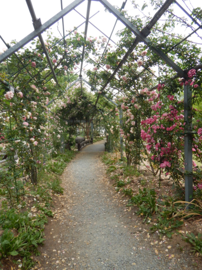 やっと楽しめる！ 続き。_b0136045_20430163.jpg