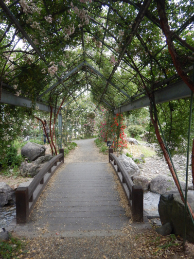 やっと楽しめる！ 続き。_b0136045_20430353.jpg