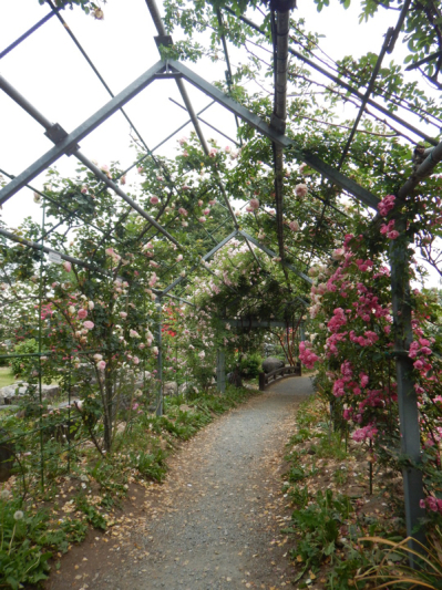 やっと楽しめる！ 続き。_b0136045_20430682.jpg