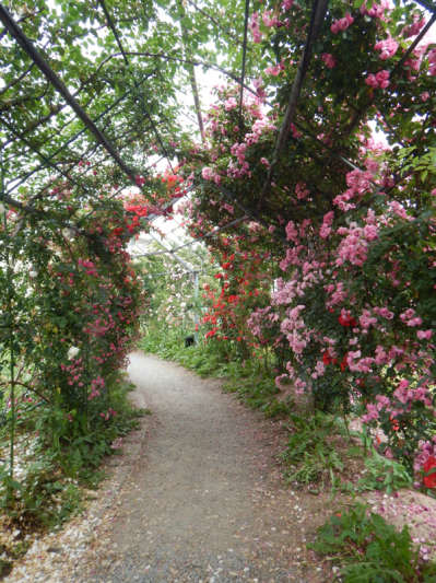 やっと楽しめる！ 続き。_b0136045_20443005.jpg