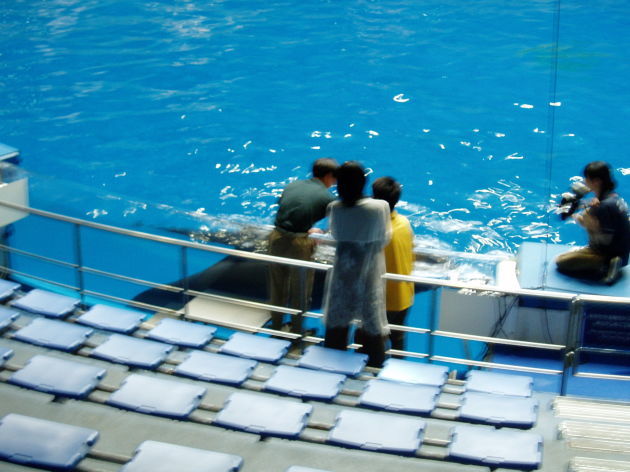 c0017651_12404584.jpg