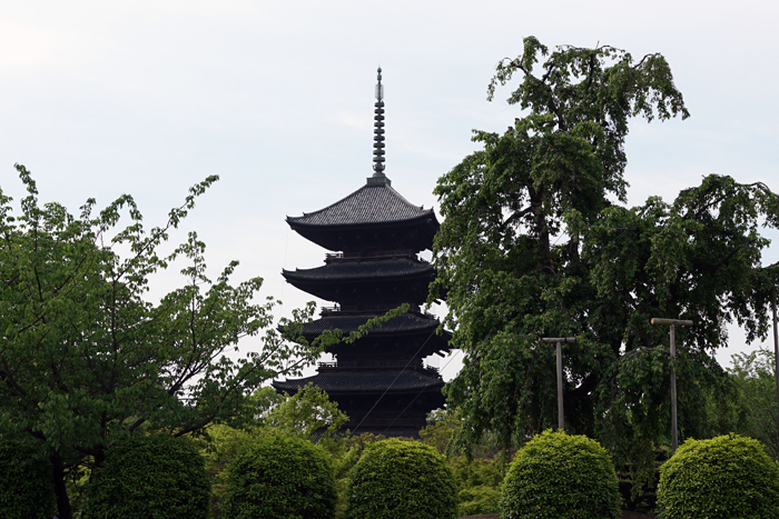 GW奈良～大阪～京都～滋賀②東寺、大津三井寺力餅、お食事処アケミ、琵琶湖畔でお茶ピクニック_b0049152_18181690.jpg