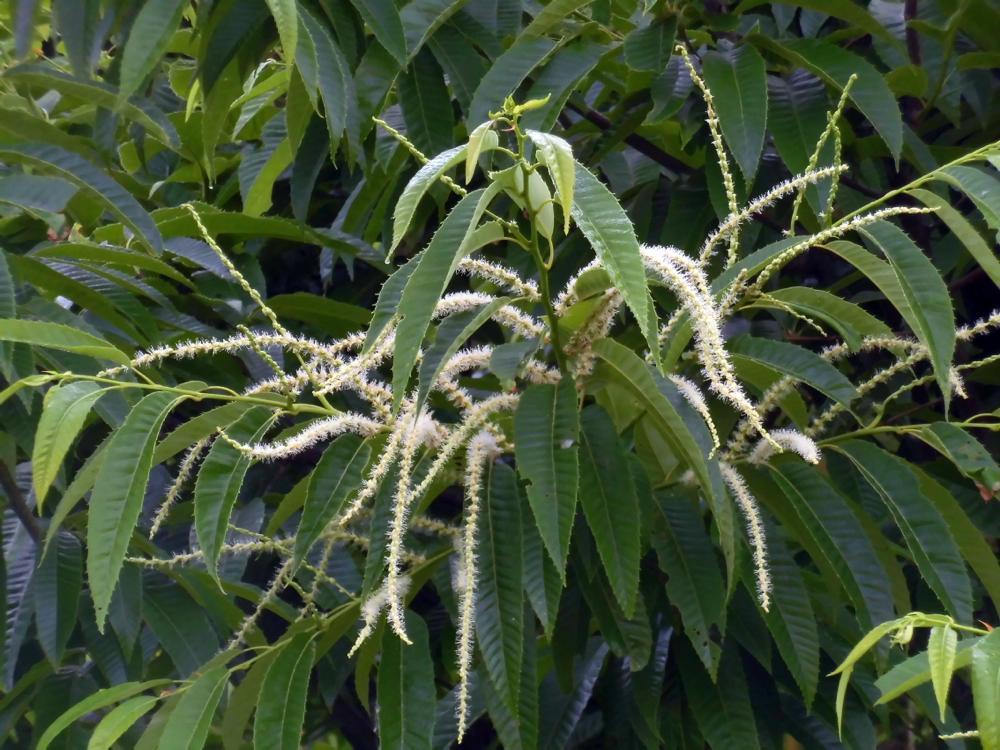 e0024554_23321601.jpg