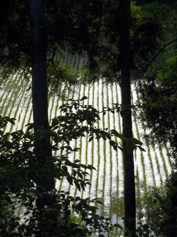 e0024554_23322399.jpg