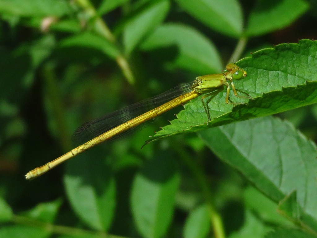 a0018655_09190165.jpg