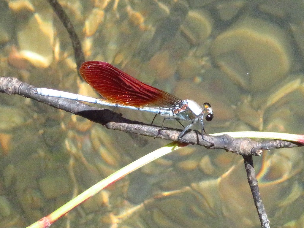 a0018655_09243965.jpg