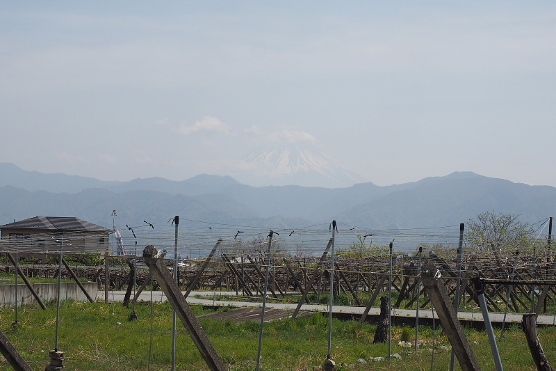 b0008655_23161665.jpg
