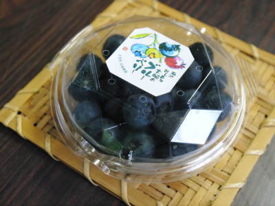 無農薬フレッシュブルーベリー 令和元年もネット独占販売!本日より先行予約受付をスタート!_a0254656_19211785.jpg