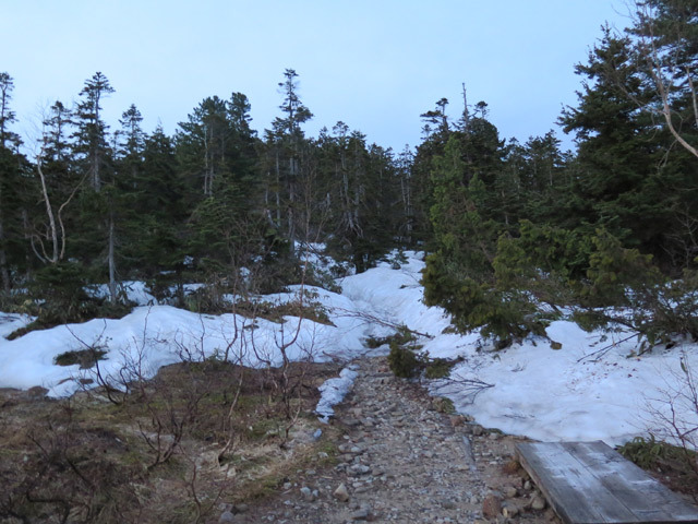 c0116856_04231217.jpg