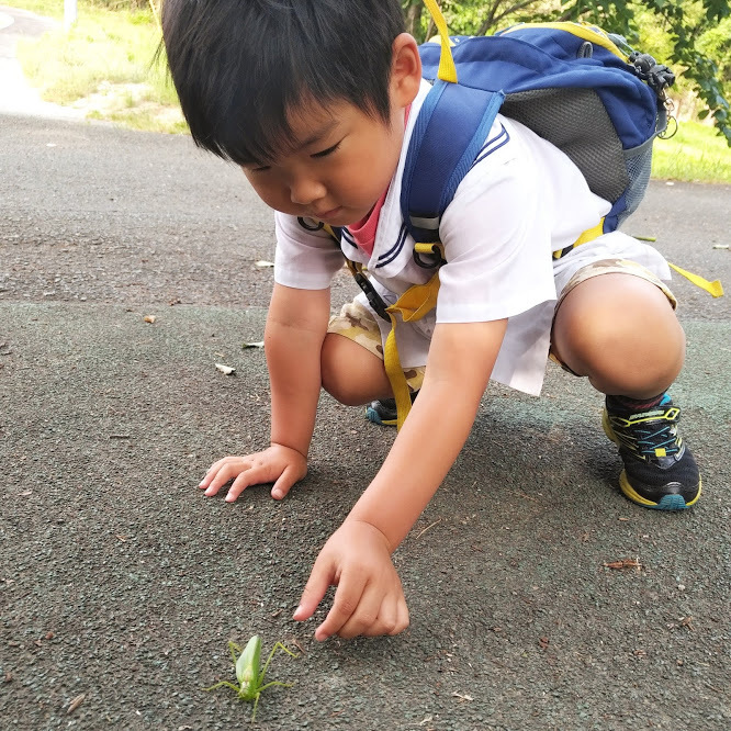f0201157_16551633.jpg