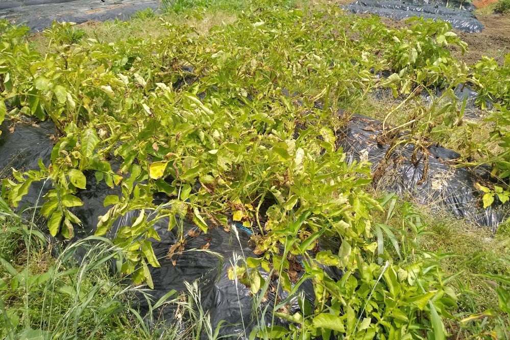 f0201157_17022270.jpg
