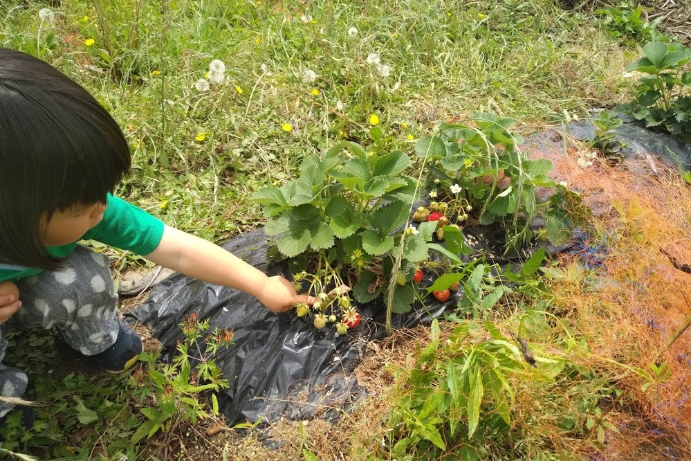 f0201157_17025147.jpg
