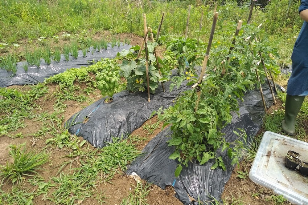 f0201157_17081748.jpg