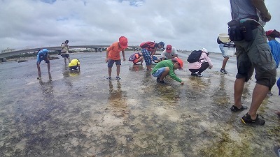 c0180460_19050305.jpg