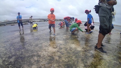 c0180460_19050328.jpg