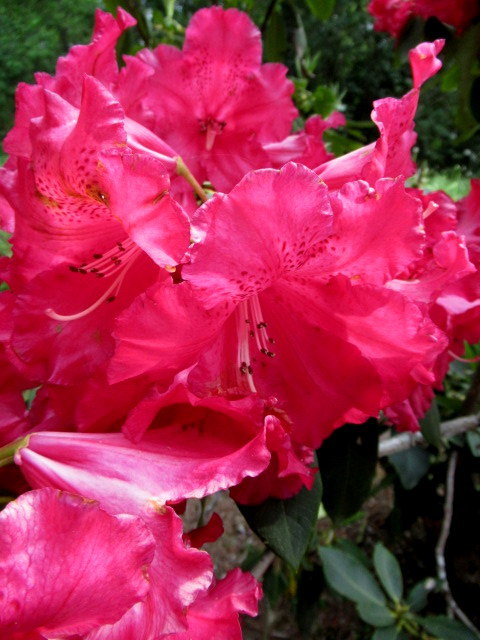 f0236260_14505613.jpg