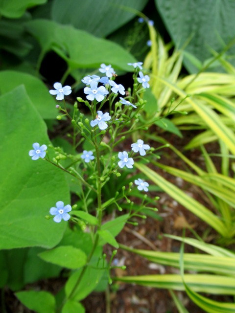 f0236260_14512559.jpg