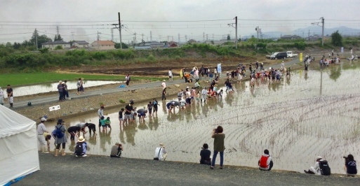 田んぼのアート  田植え見学_a0053063_16580865.jpeg