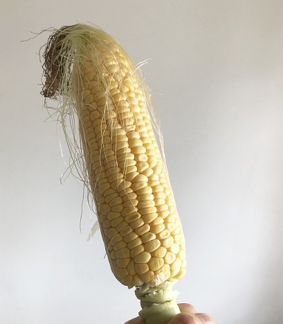 b0060363_22441027.jpeg