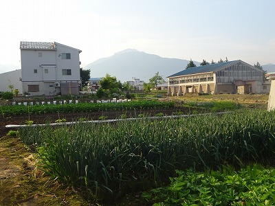 d0074063_07292861.jpg