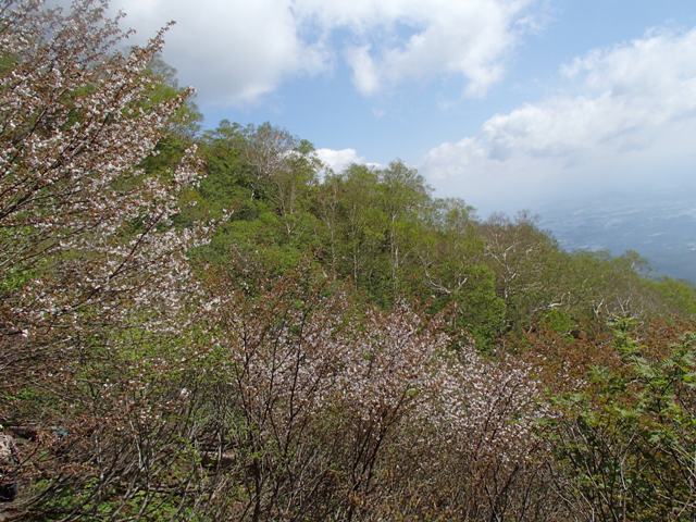 a0344771_17225608.jpg