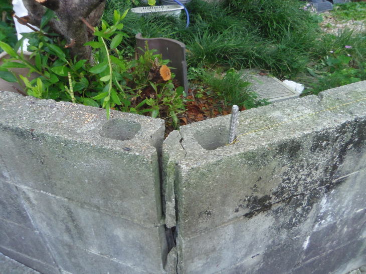 e0031572_08364321.jpg
