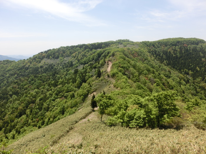 b0185573_10221537.jpg