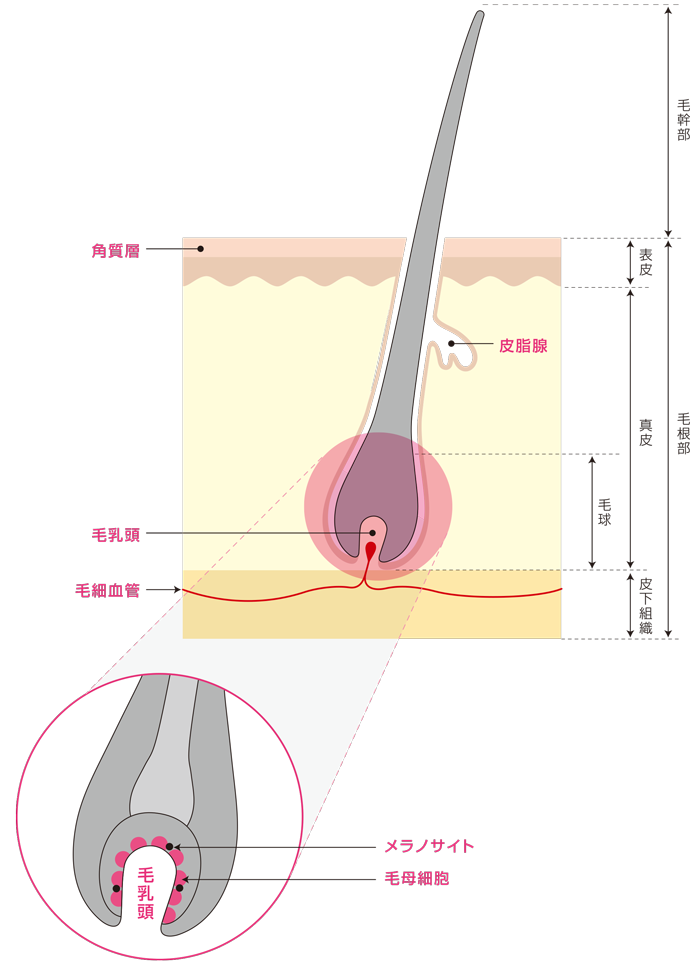 e0184077_13591799.png