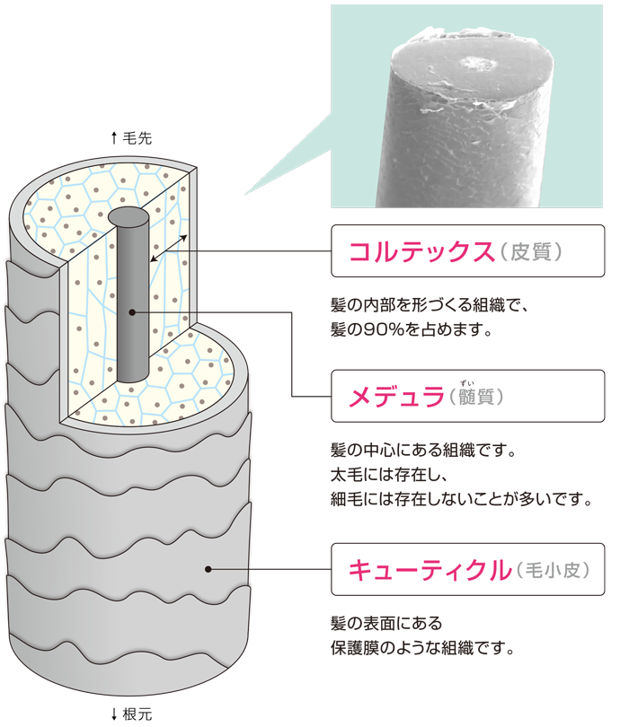 e0184077_14082807.png