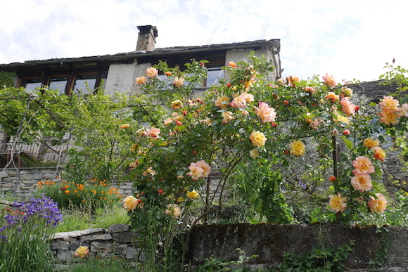 a0278382_09481609.jpg